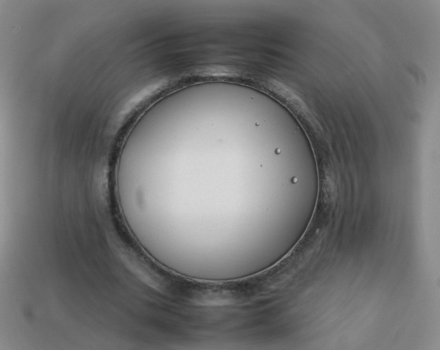 X0000113870535200910081729