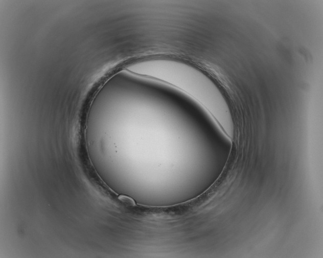 X0000113870540200910081729