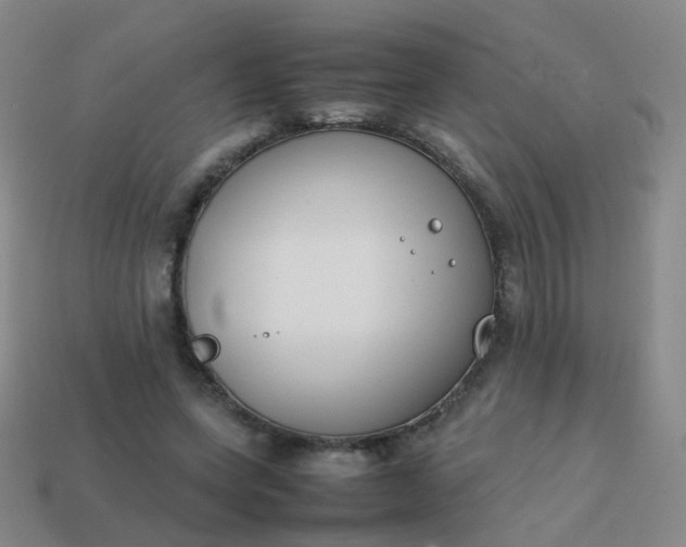 X0000113870543200910081729