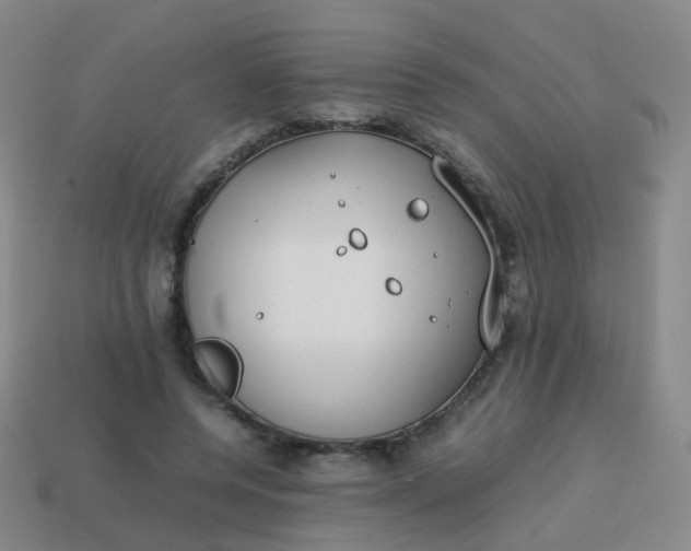 X0000113870544200910081729