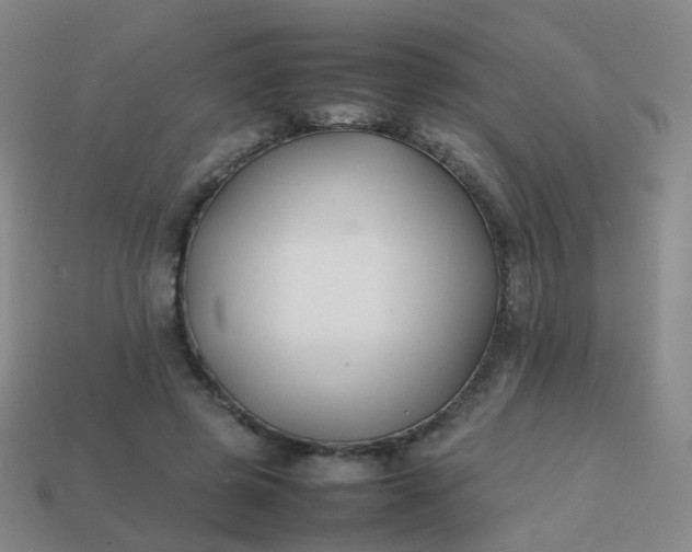 X0000113870545200910081729