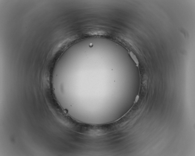 X0000113870547200910081729