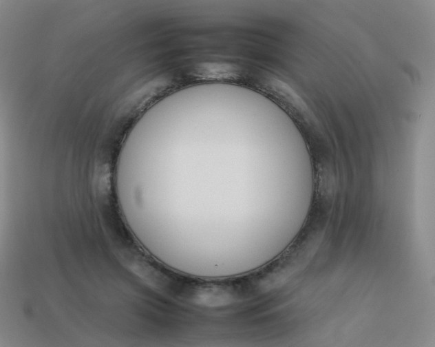 X0000113870549200910081729