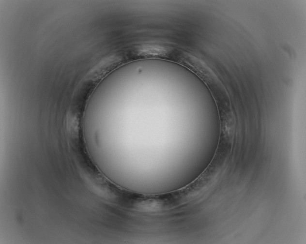 X0000113870551200910081729