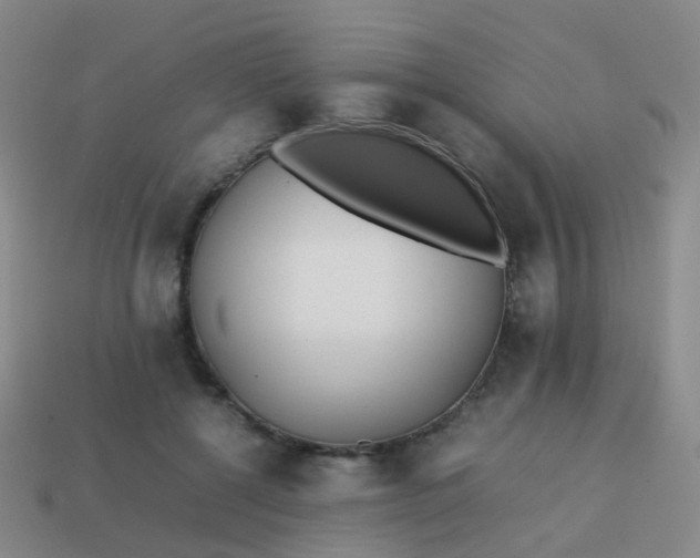 X0000113870552200910081729