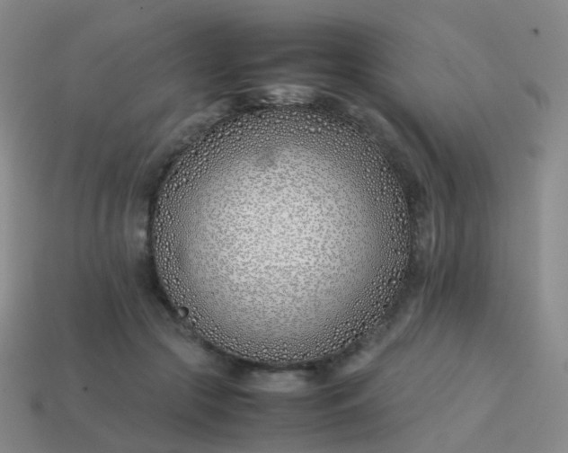 X0000113870553200910081729