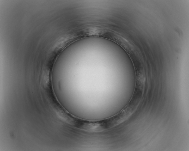 X0000113870554200910081729