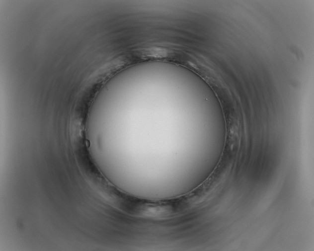 X0000113870555200910081729