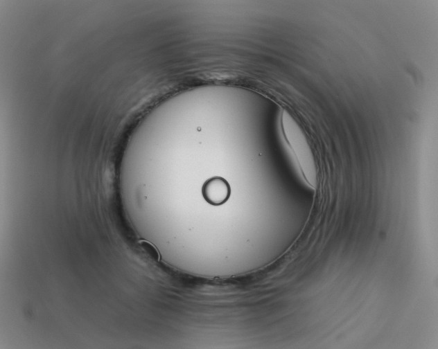 X0000113870556200910081729