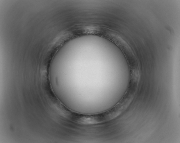 X0000113870557200910081729