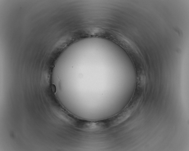 X0000113870558200910081729