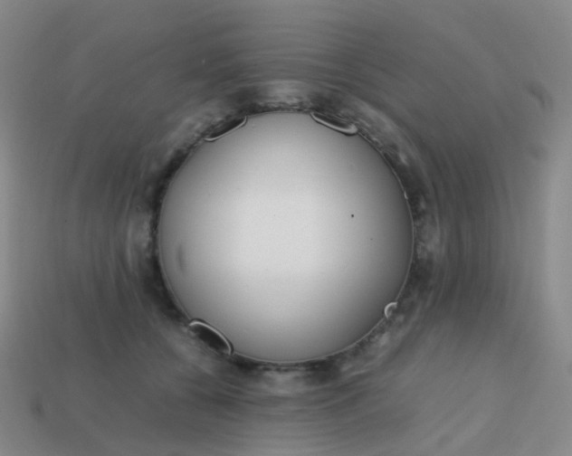 X0000113870560200910081729