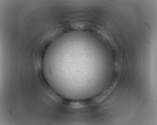 X0000113870561200910081729