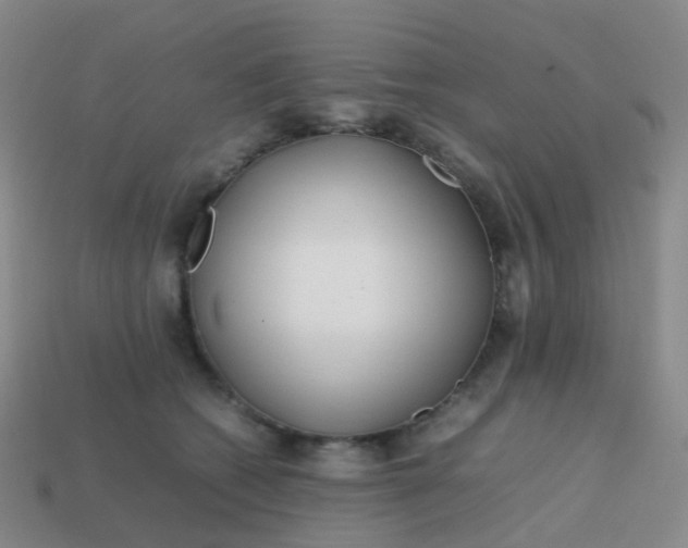 X0000113870562200910081729