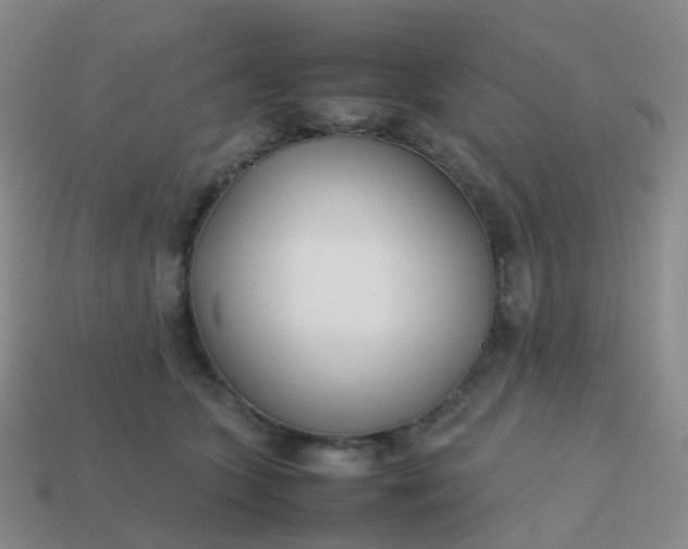 X0000113870563200910081729