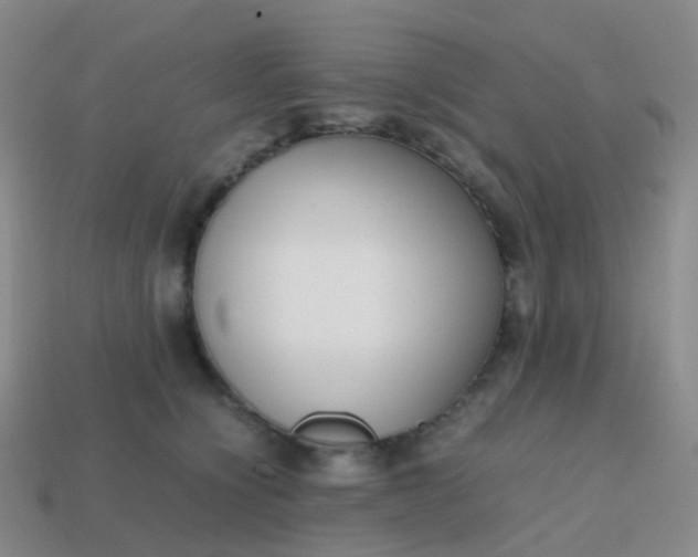 X0000113870564200910081729