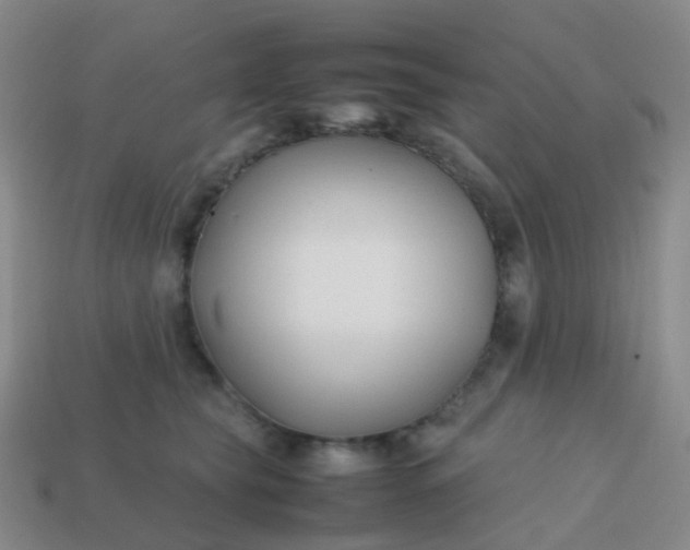 X0000113870565200910081729