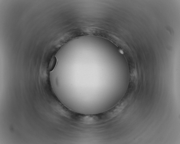 X0000113870566200910081729