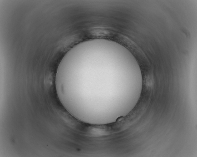 X0000113870567200910081729