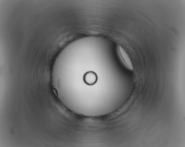 X0000113870568200910081729