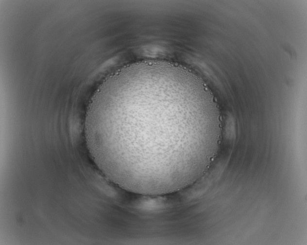 X0000113870569200910081729