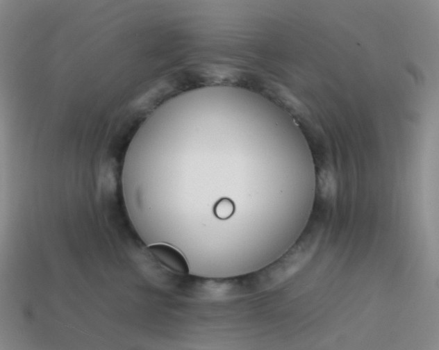 X0000113870570200910081729