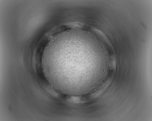 X0000113870573200910081729