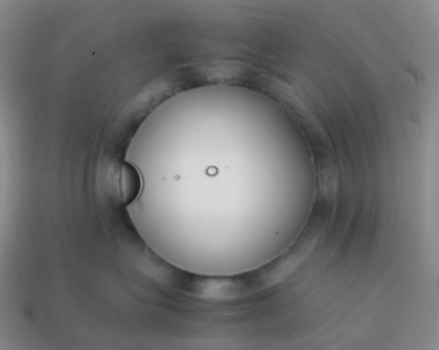 X0000113870575200910081729