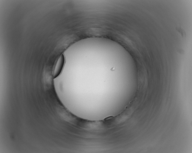 X0000113870576200910081729