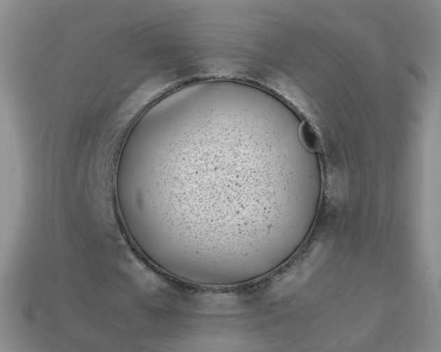 X0000113870577200910081728