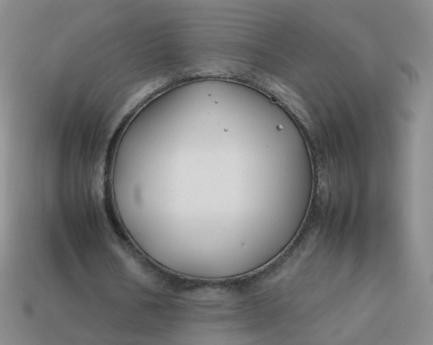 X0000113870578200910081728