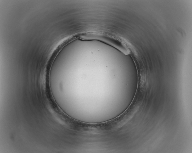 X0000113870580200910081728