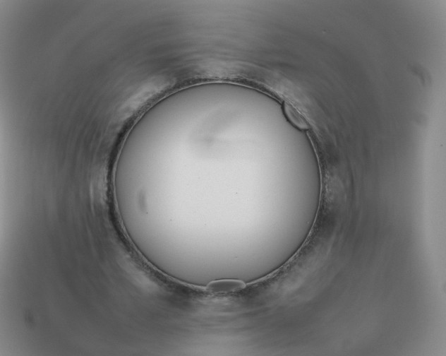 X0000113870581200910081728