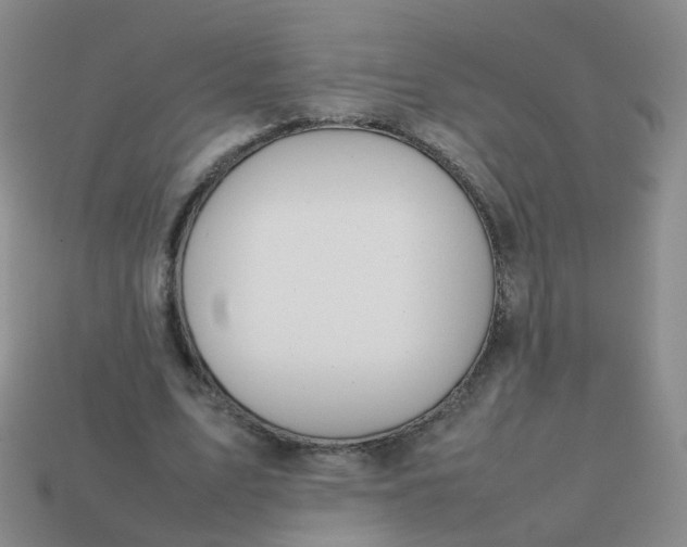 X0000113870583200910081728