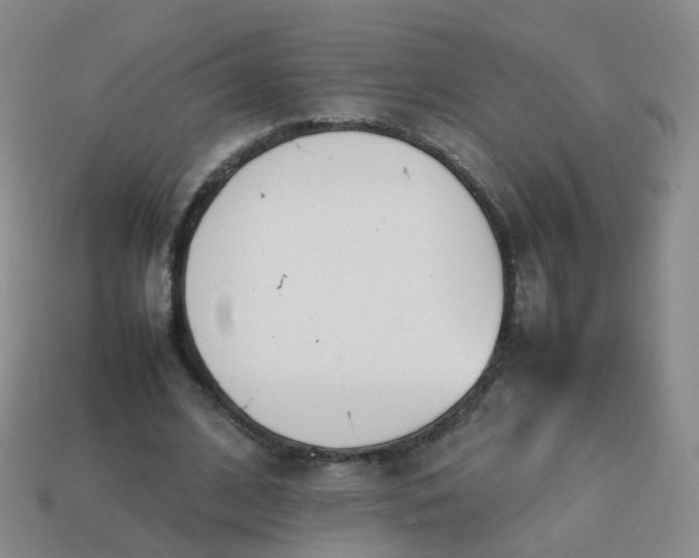 X0000113870584200910081728