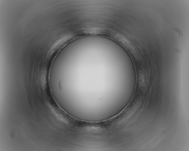 X0000113870586200910081728