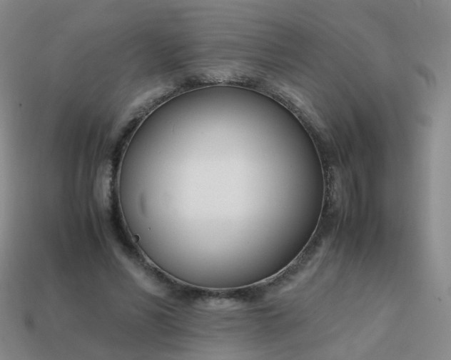 X0000113870590200910081728