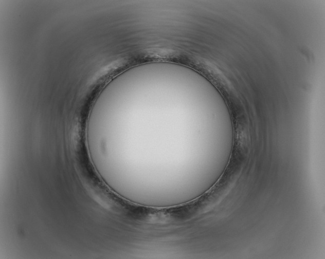 X0000113870591200910081728