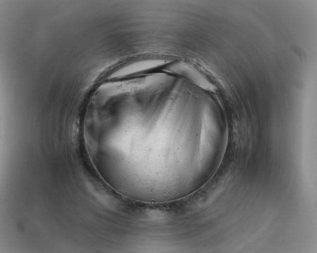 X0000113870592200910081728