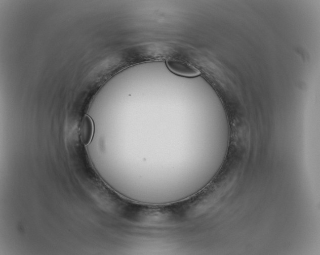 X0000113870597200910081728