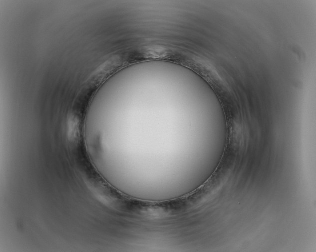 X0000113870598200910081728