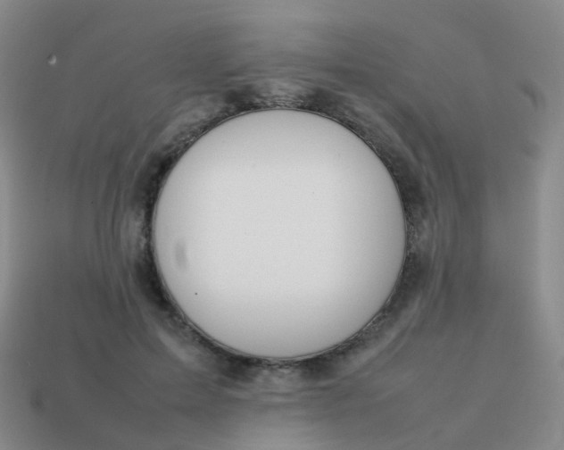 X0000113870599200910081728