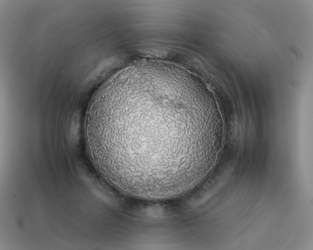 X0000113870600200910081728