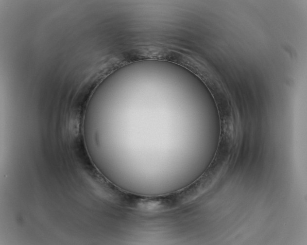 X0000113870602200910081728