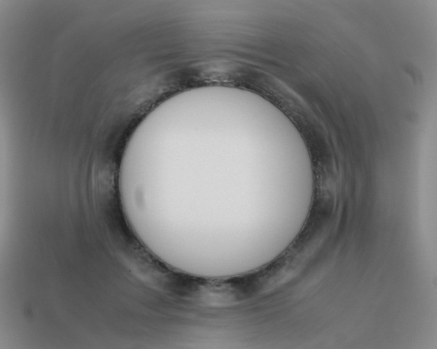 X0000113870603200910081728