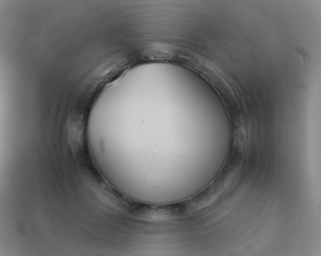 X0000113870604200910081728