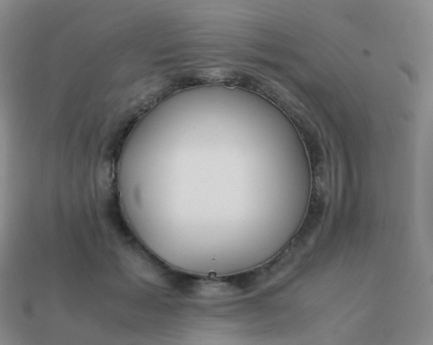 X0000113870605200910081728