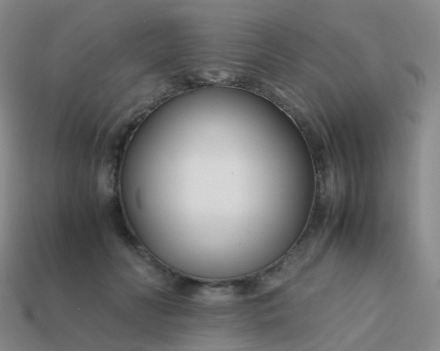 X0000113870606200910081728