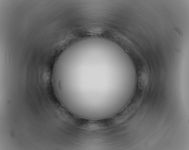 X0000113870608200910081728