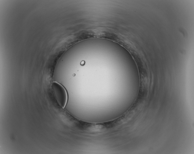 X0000113870609200910081728